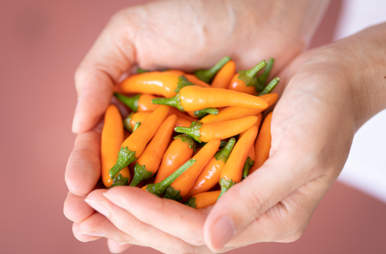 弥平とうがらし ぴりり（一味）｜ここ滋賀 オンラインショップ